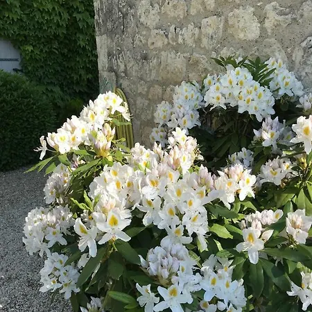 Le Manoir Du Sord Lodge *