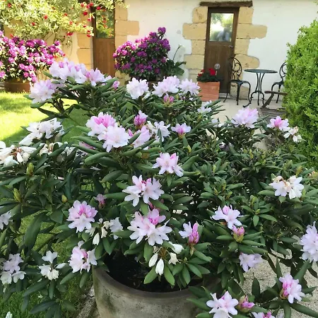 Le Manoir Du Sord Lodge Issigeac