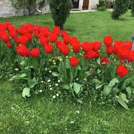 Le Manoir Du Sord Lodge Issigeac