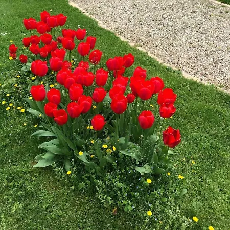 Le Manoir Du Sord Lodge *