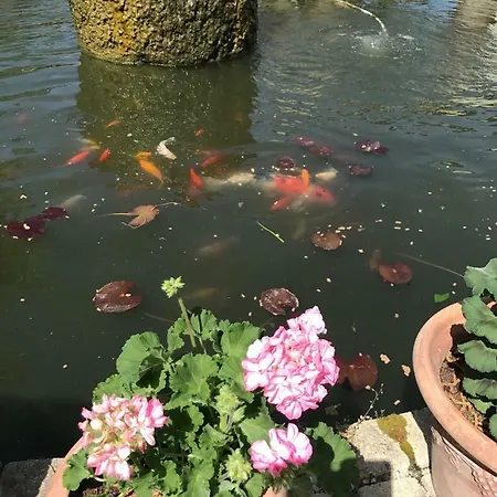 Le Manoir Du Sord *