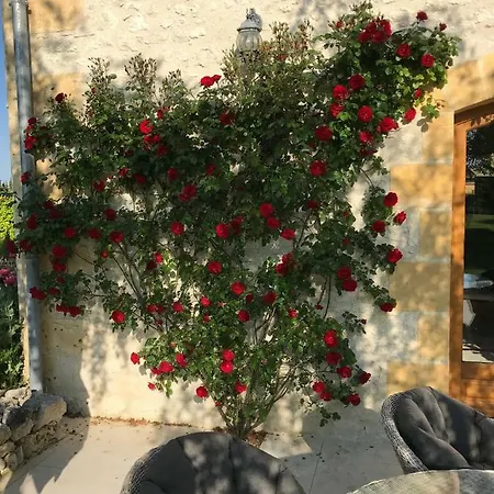 Le Manoir Du Sord Lodge